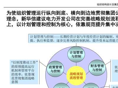 提高集团化管理水平,促进辰能集团事业全面发展-与辰能集团管理人员交流(ppt129)-经营管理